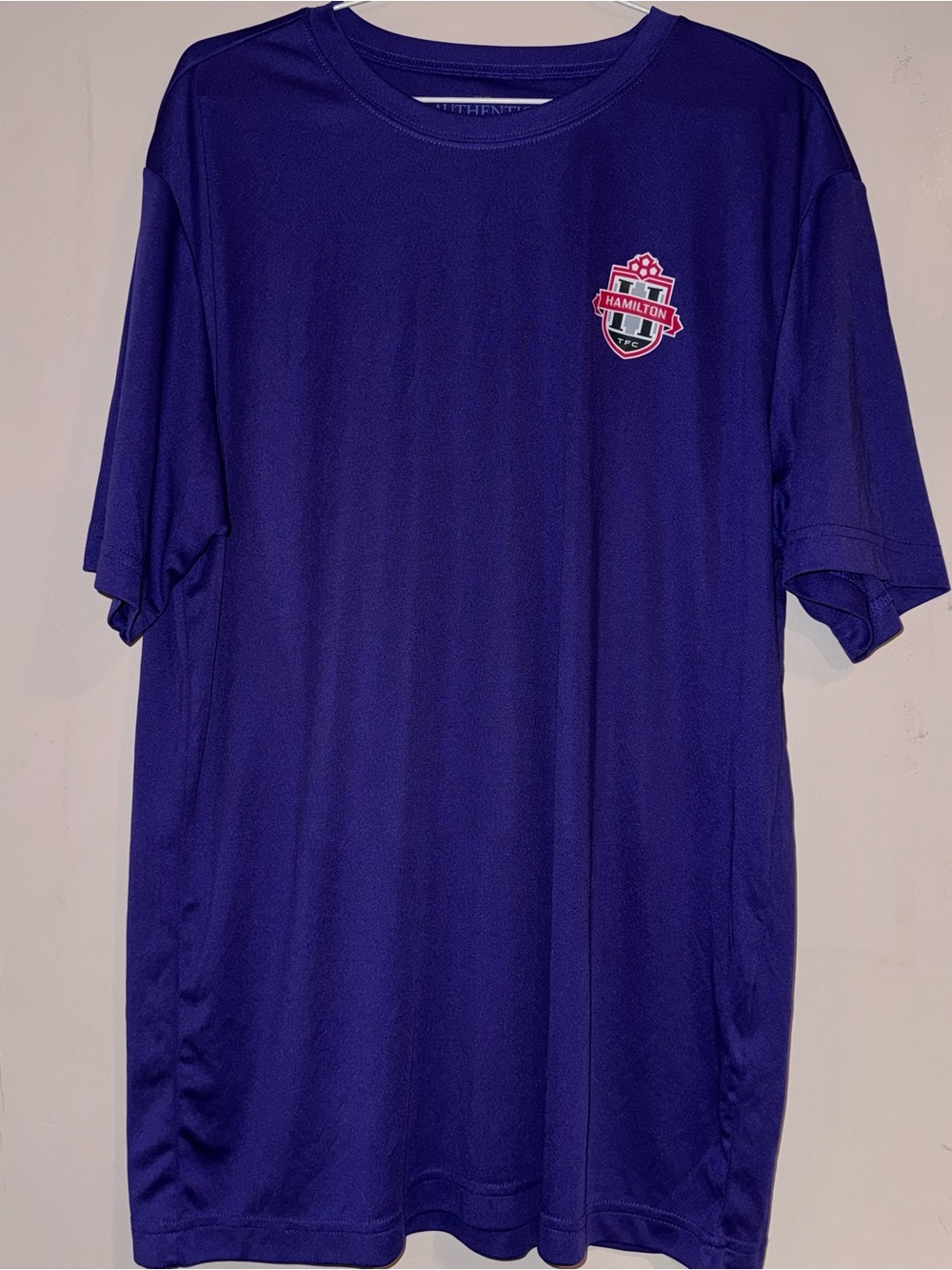 Hamilton Men's Performance Jersey in Deep Purple with Red Crest